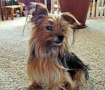 Abby