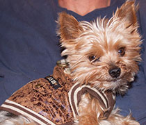 Charlie