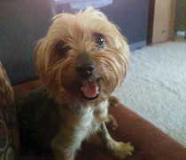 Coco