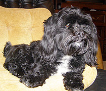 Jackson