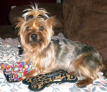 Lola